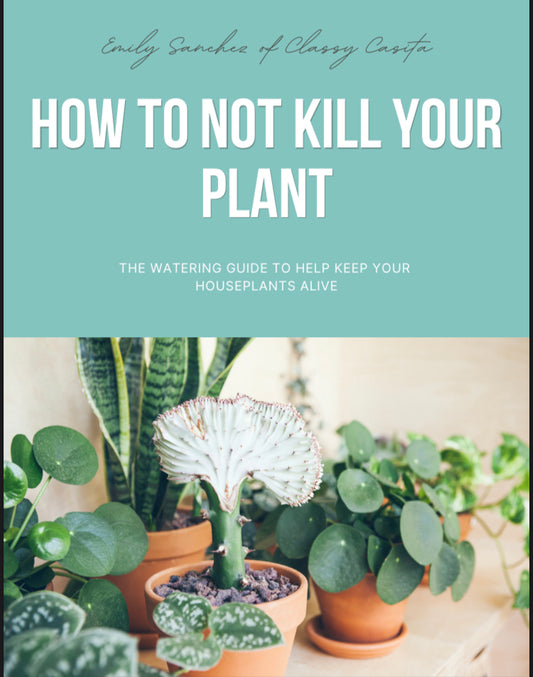 How To Not Kill Your Plant eBook